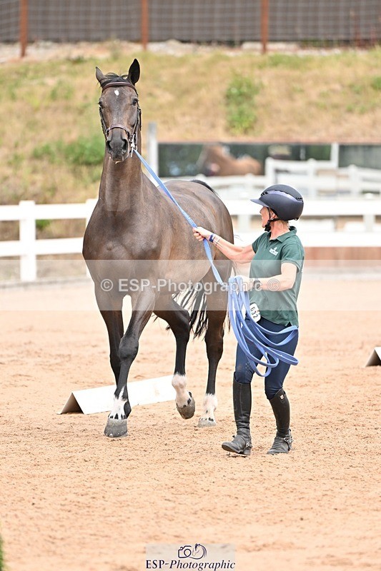 250716-143932-01266 - Trot Up 2.30 to 3.30