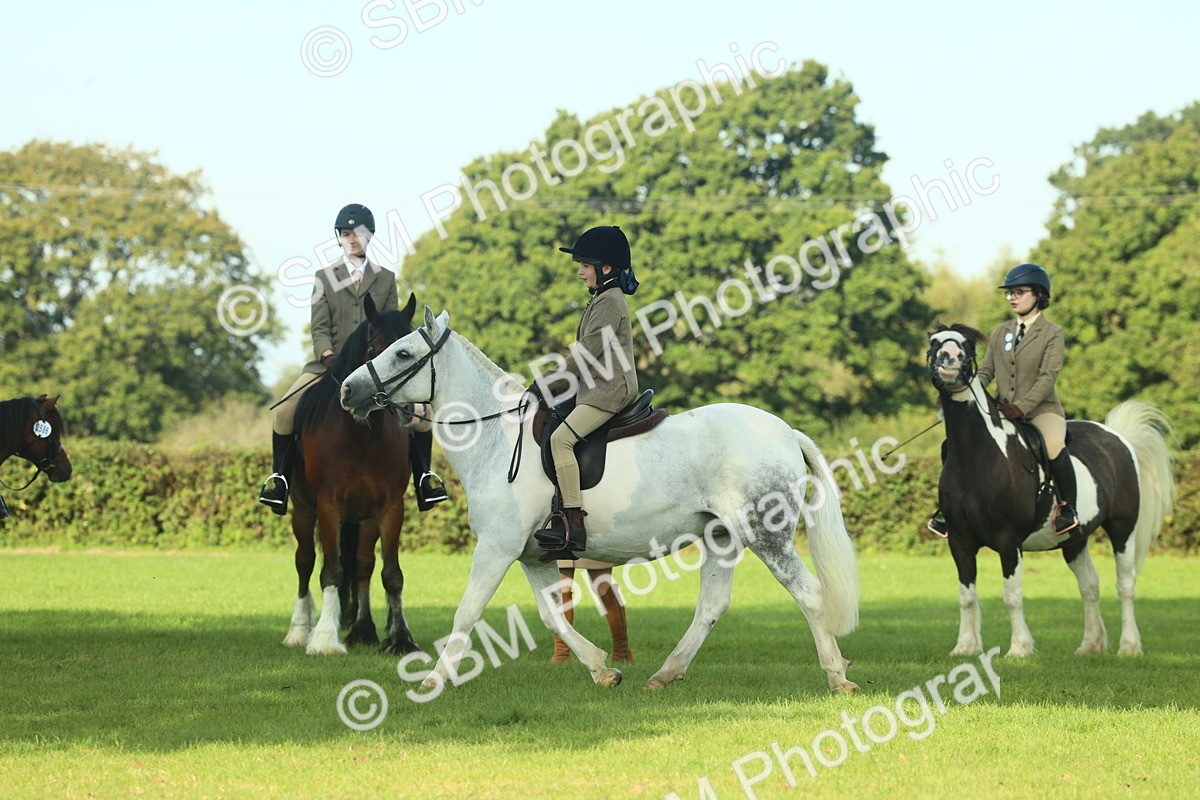 SBM_59873 - S38 - Starters Ridden Showing