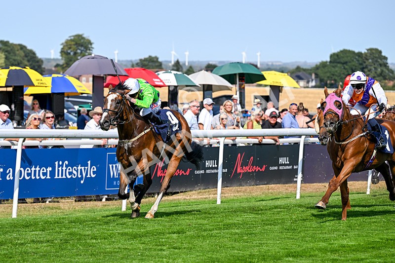 130826-Race 4-Shazani-9088 - Race 4 15.45pm Connexin Super Fast Sprint Handicap