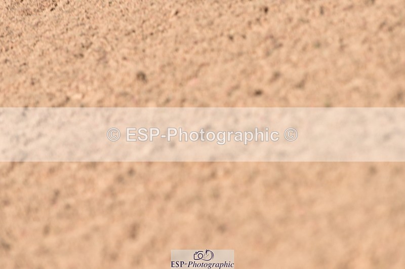 230810A-113822-00913 - Cls 9 Foxhunter