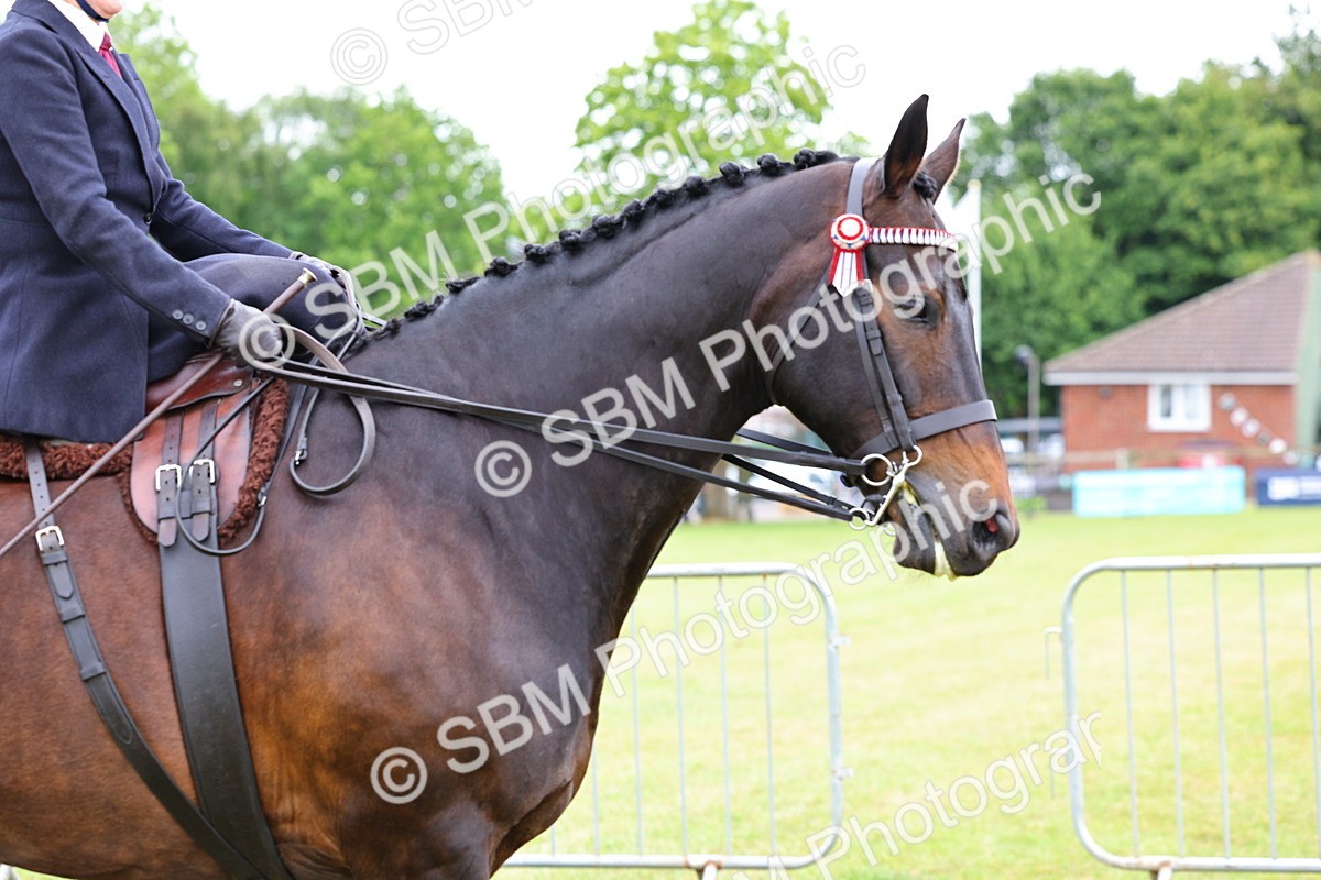 SBM_02805 - Class 9-11 Side Saddle including LIHS Rising Star Ladies Show Horse