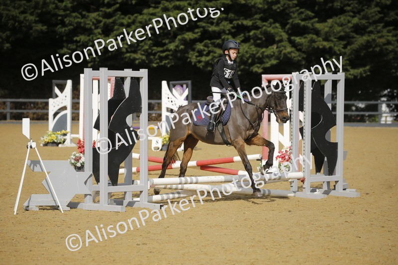 20250622-1389 - 40cm