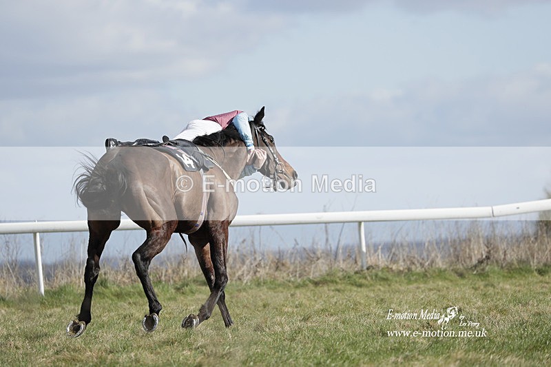 PtP 260223 510 - South & West Wilts Point-to-Point Larkhill 26/02/23