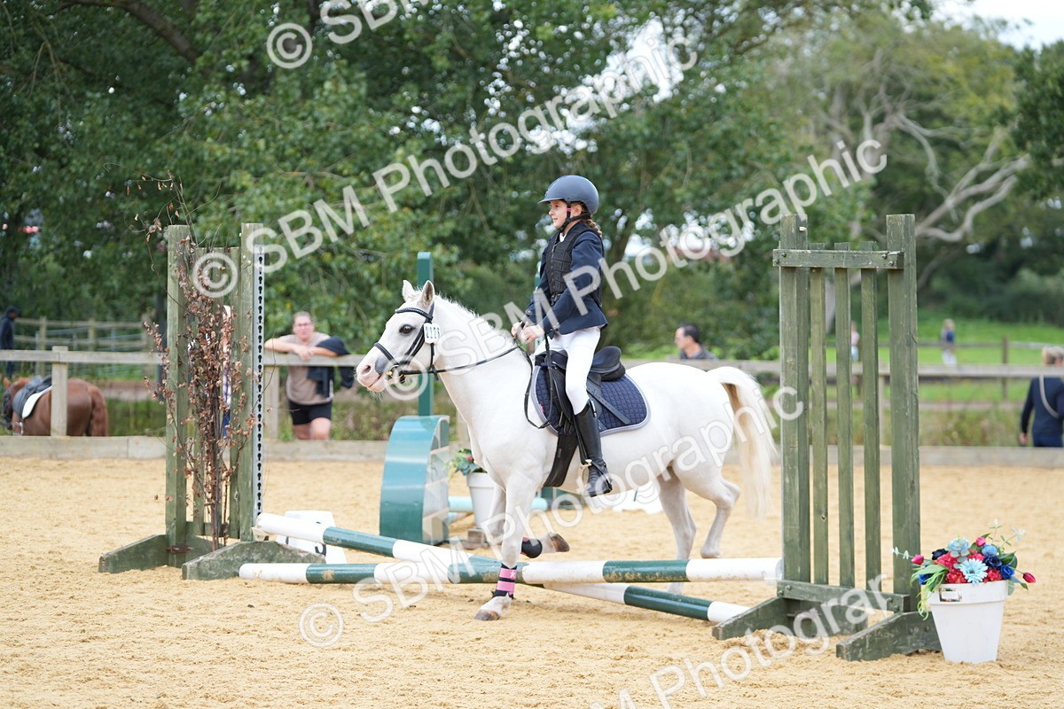 SBM_64361 - J2 - Mini Tour Junior Pony 30cm Championship