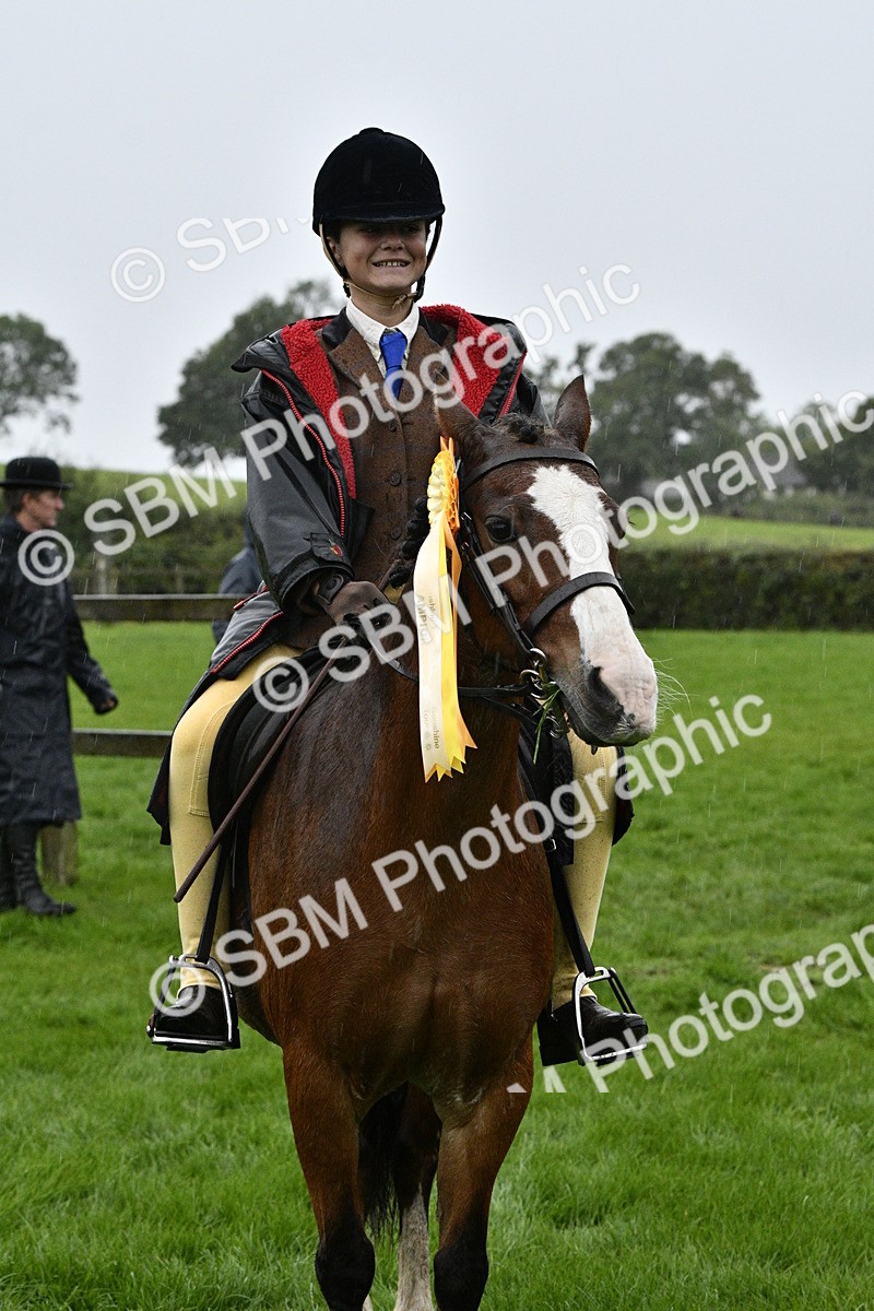 SBM_35618 - S30 - Nursery Stakes Working Hunter Pony