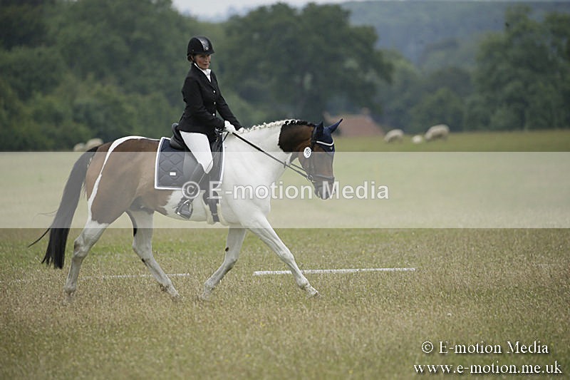 B230619-0641 - Bourne Valley Riding Club Summer Show 23/06/19