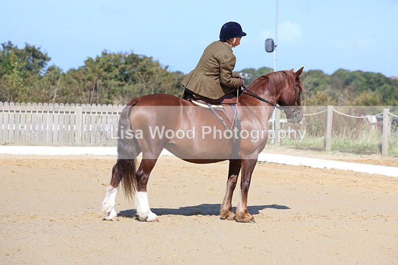 3E7A2807 - Class 4: Prelim 6 Section A Championship