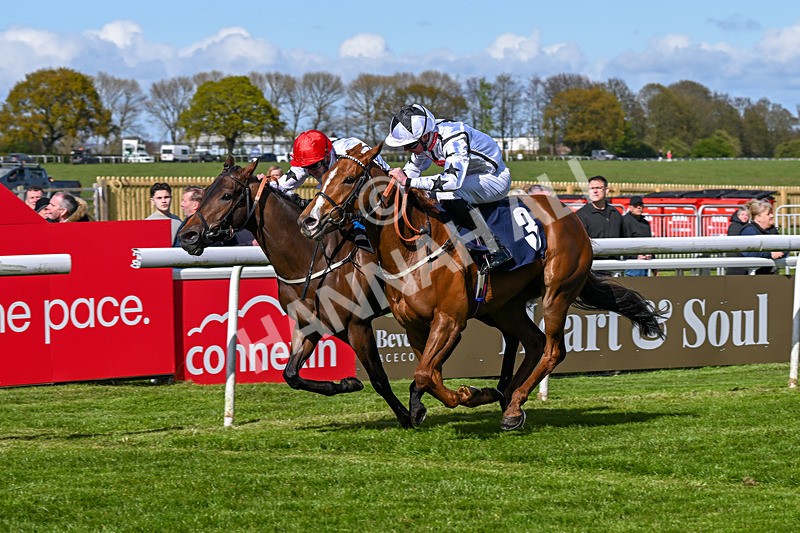 250424-Race 4-Classy Boy-1321 - Race 4