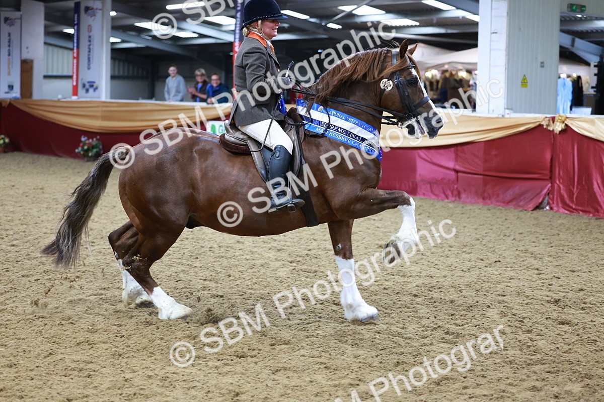 SBM_19001 - M&M Supreme Final champ