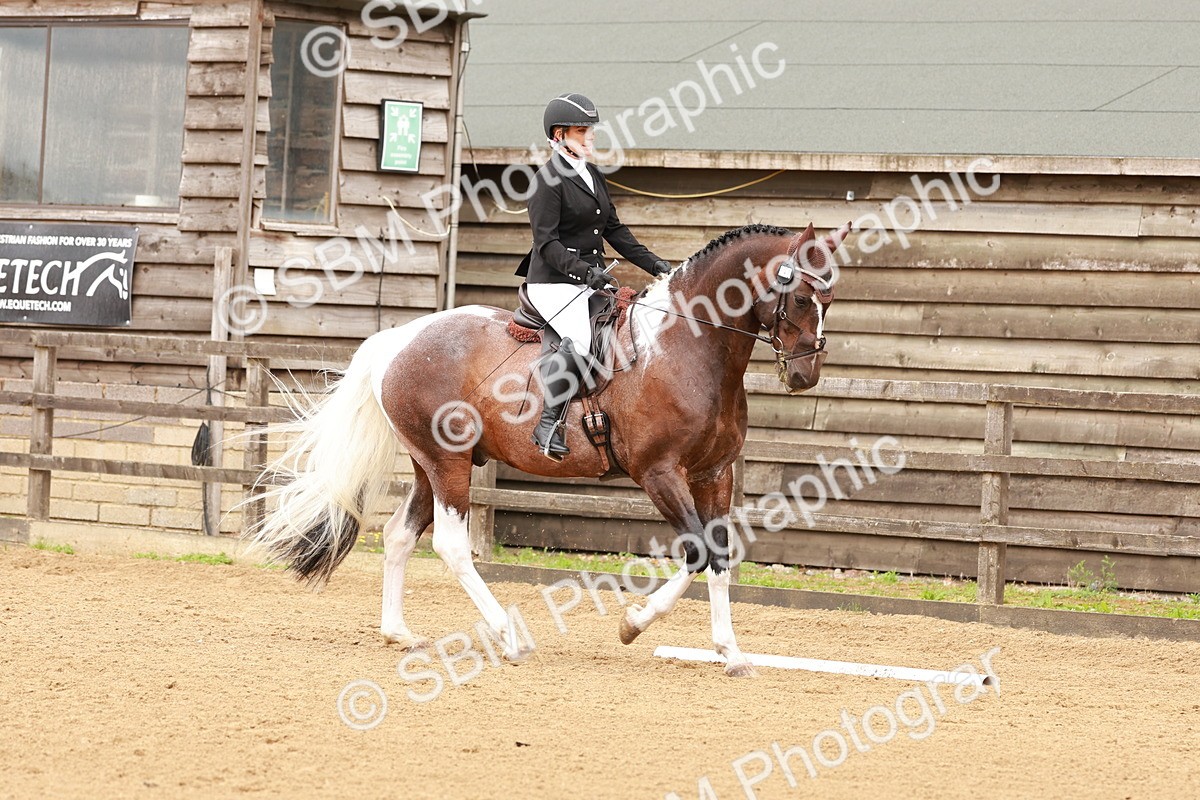 SBM_001913 - Elementary 1-2