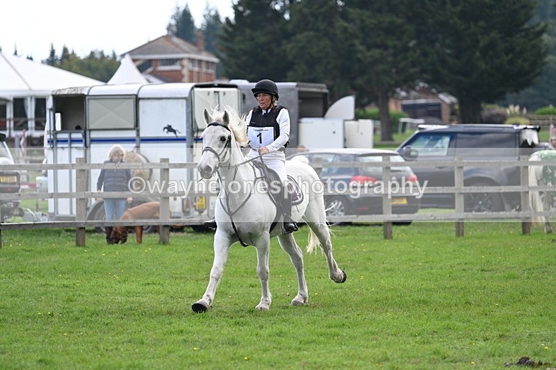 WJ7_4108 - 40cm Time 10:44 to 10:52