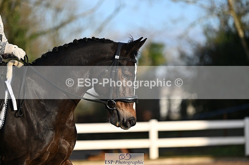 241214-095650-01047 - 152-Liv.Leonard-Liberty