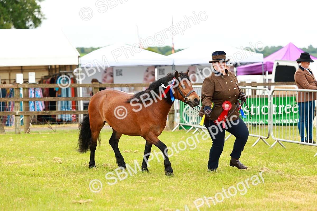 SBM_00332 - Class 58-67 - M&M Non Welsh Pony In hand