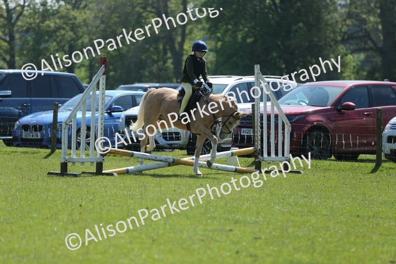 20250427-1949 - Class 2 - Mini Jumping 30cm