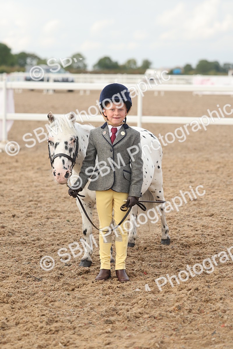 SBM_08568 - Class 29 - IH Veteran Pony