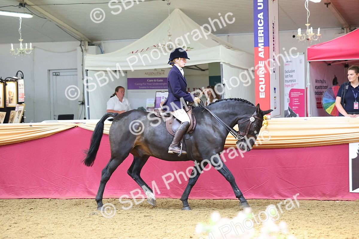 SBM_24039 - Class 905 - Supreme Final - Ridden Veteran