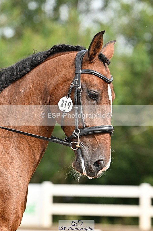 240817A-100920-07099 - 219-Sarah.Baldwin-Ervilha.Dos.Leitoes