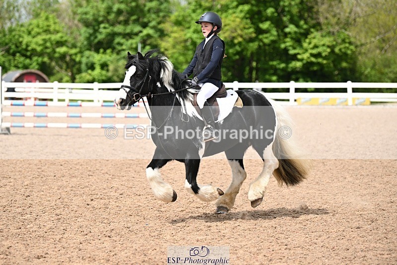 250504-143333-03647 - Cls 23 Stepping Stones