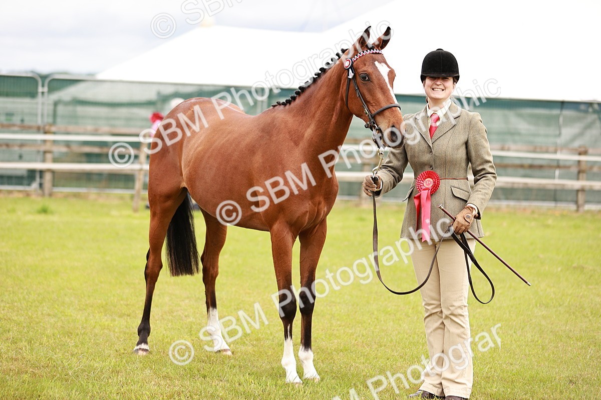 SBM_01717 - Class 31-34 Hack Breeding