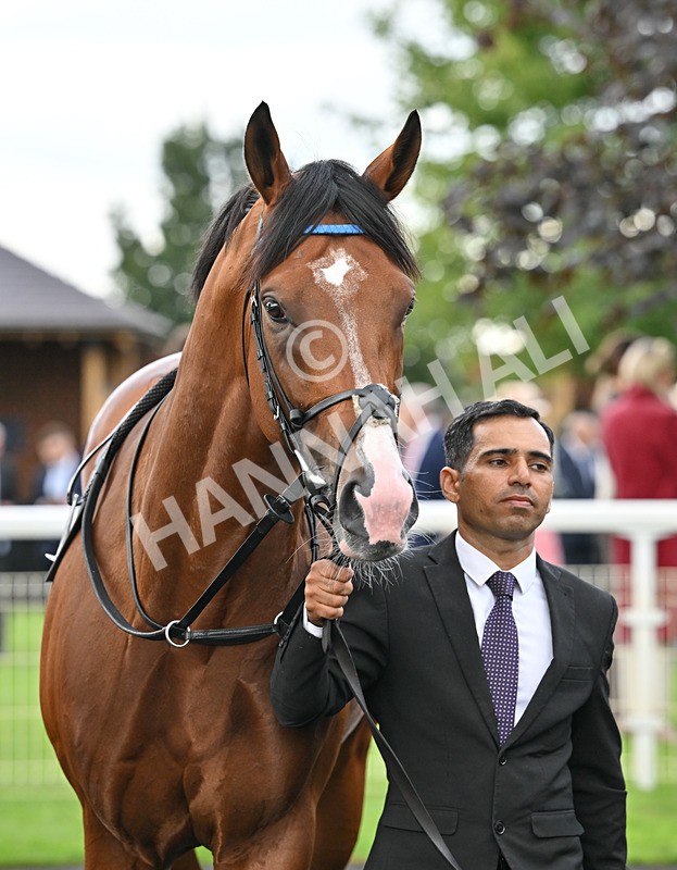 190826-177 Ombudsman - Race 4 15.35pm Juddmonte International Stakes