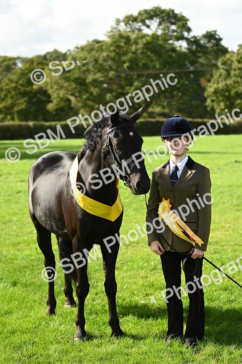 SBM_25054 - S5 - Novice & Newcomer In hand