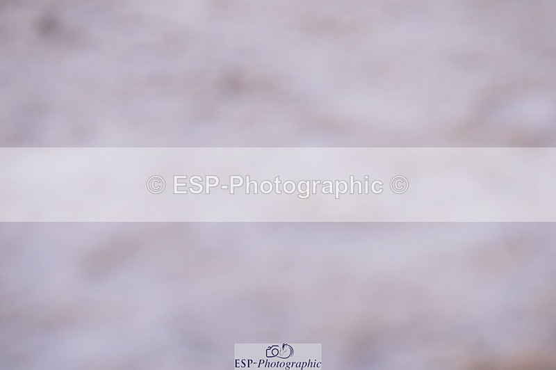 240802A-192440-06217 - Cls 20 Area Trial