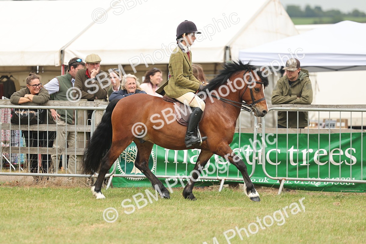 SBM_07165 - Class 76-77 - Ridden M&M Welsh Ponies