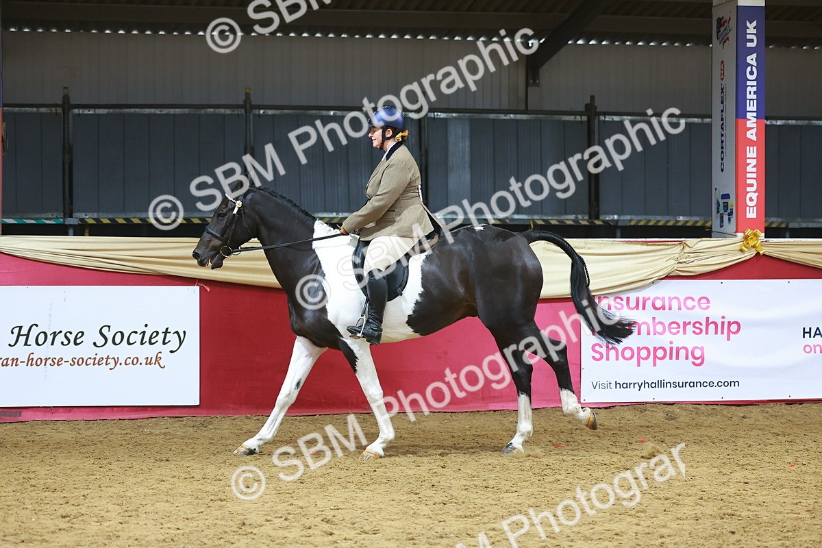 SBM_09653 - Class 102 - HOYS Veteran Qualifier - Ridden Veteran