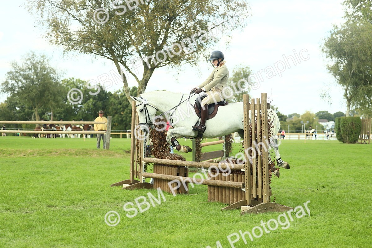 SBM_47988 - S32 - Novice & Newcomers Working Hunter