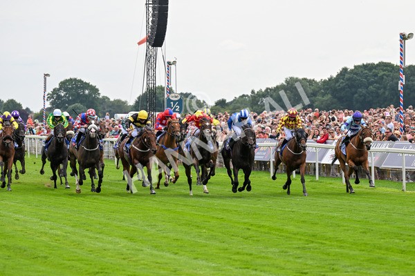 260725-Race 2-Elmonjed-0305 - Race 2 2.00pm Sky Bet Dash Handicap
