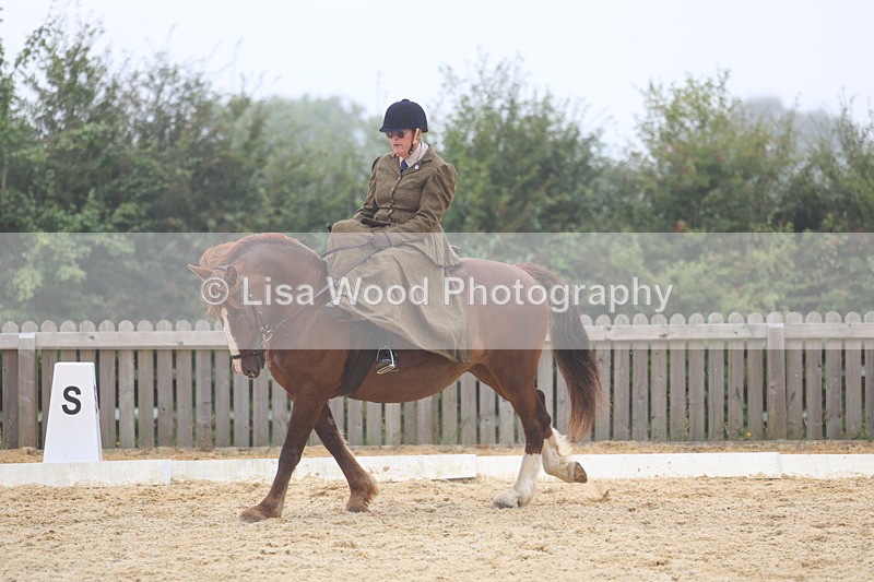 3E7A6895 - Class 5: Prelim to Music