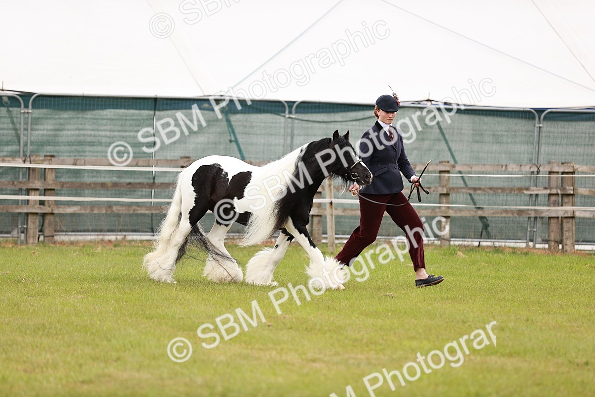 SBM_05965 - Class 39-41 TGCA In Hand and Ridden