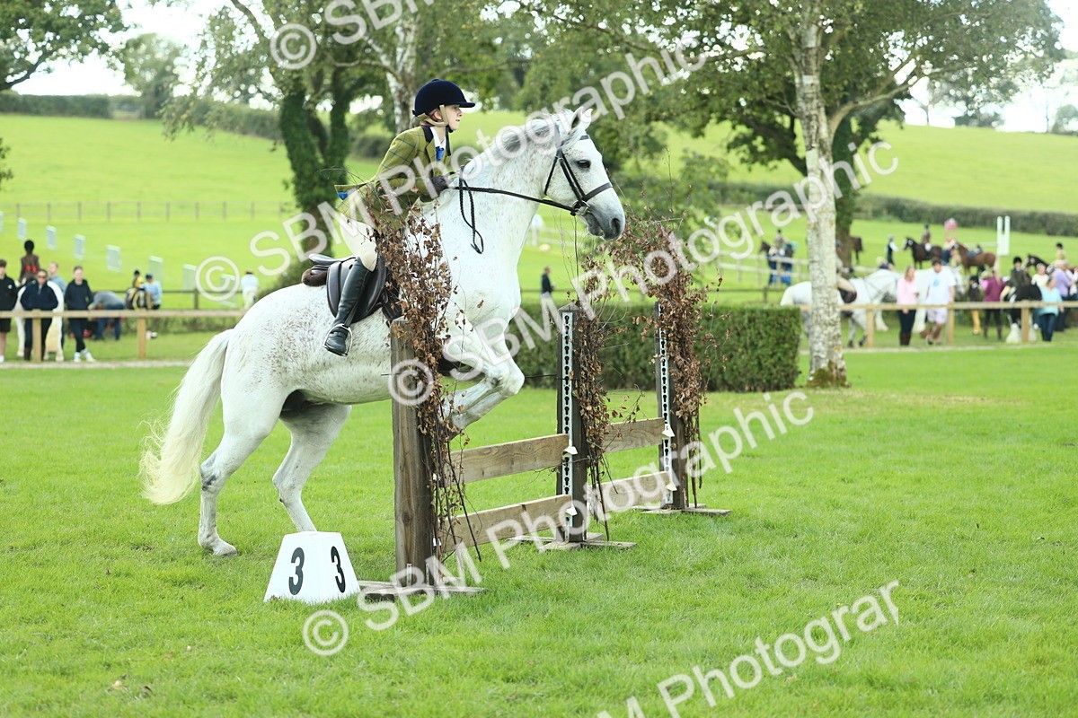 SBM_43027 - S30 - M&M Working hunter Pony