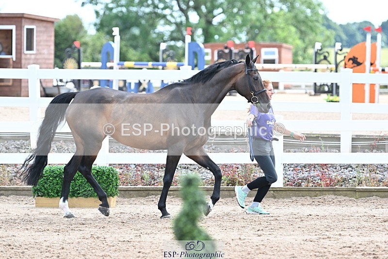 240717A-144033-02187 - Trot Up 2pm to 3pm - This folder is not in time order