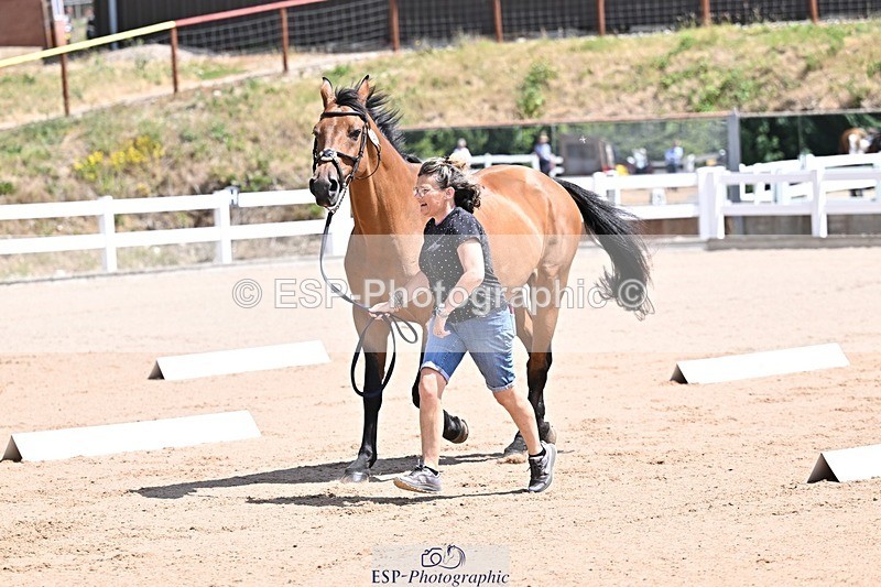 250716-123845-00086 - Trot Up 12.30 to 1.30