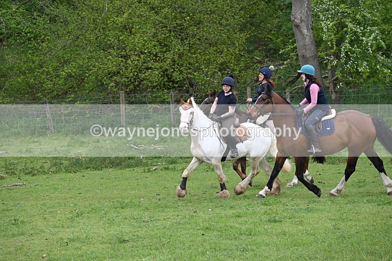 WJ6_3139 - A camera