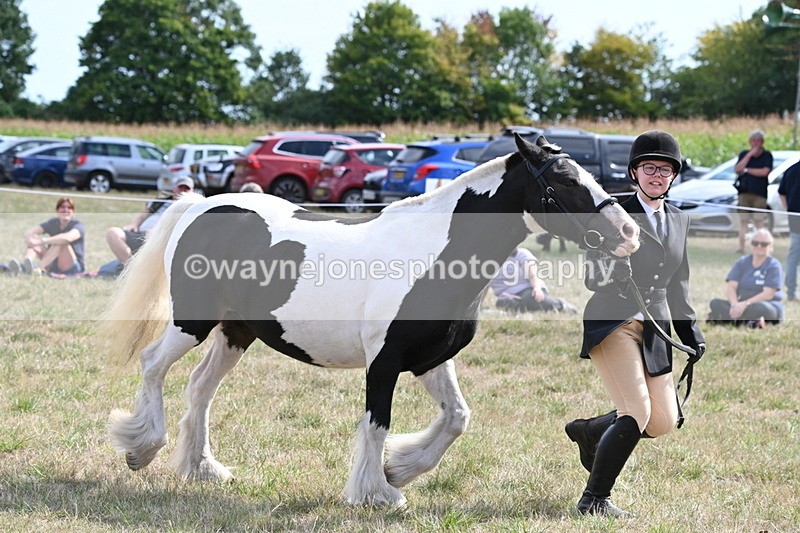 WJ6_6633 - Class 20 In-hand Cob