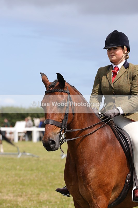 1X9A4091 - Class 32: Show Hunter Pony 153cm and under