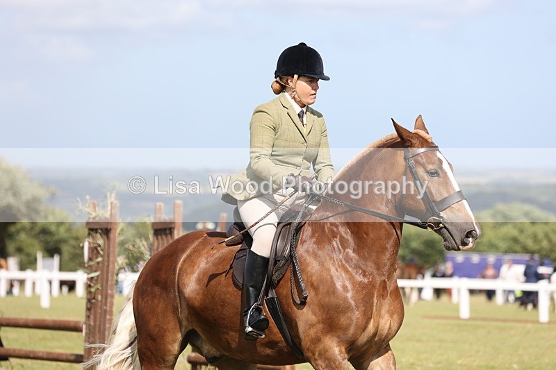 JPP_2509 - Class 20: Working Hunter 70cm