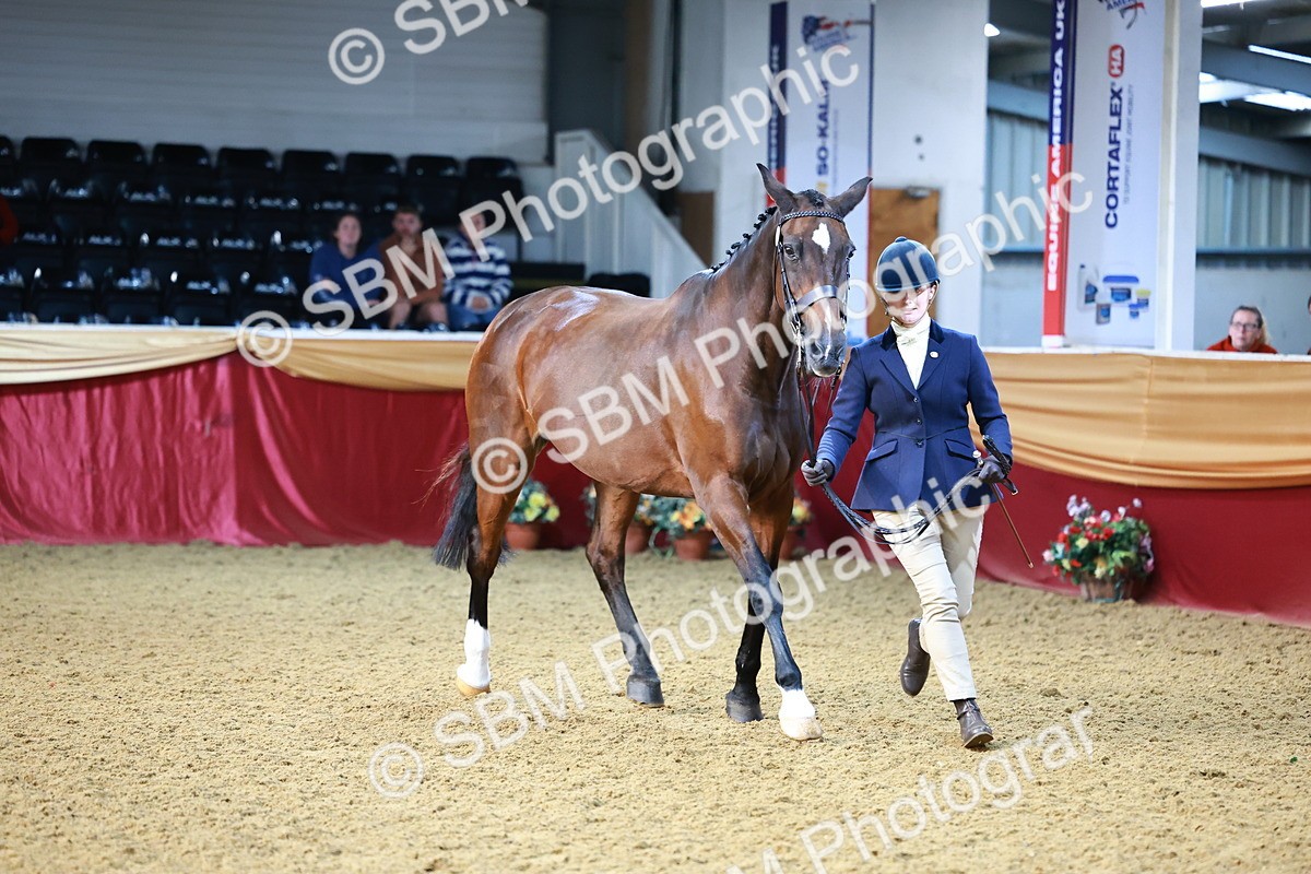 SBM_21789 - Class 901 - Supreme Final - IH  Diamond