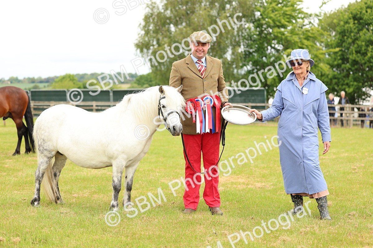 SBM_03586 - Class 58-67 - M&M Non Welsh Pony In hand