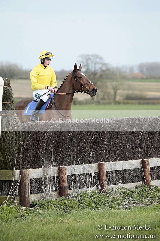 PtP 230319 2 - VWH Hunt Siddington Point-to-Point Racing 23/03/19