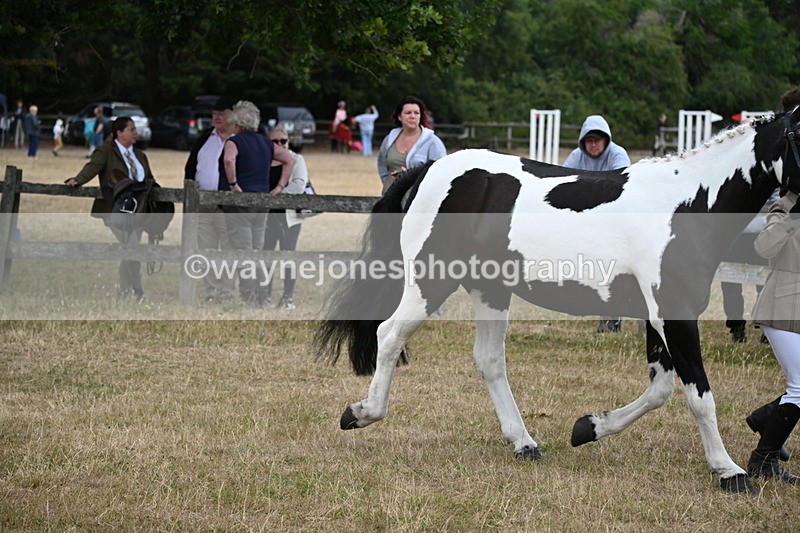 WJ6_8130 - Class 10 Coloured in Hand