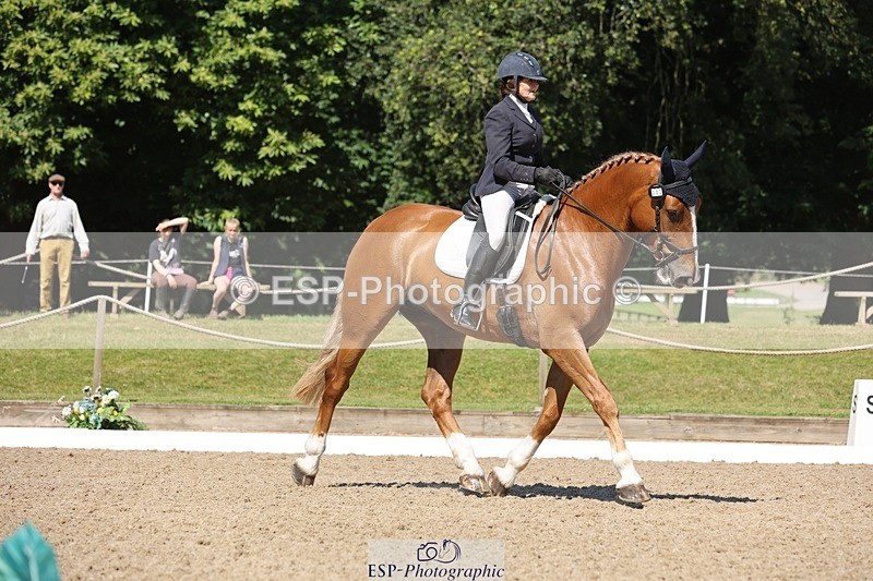 240719-103924-00759 - 223-Deborah_Randall-Sandy's_Bertie