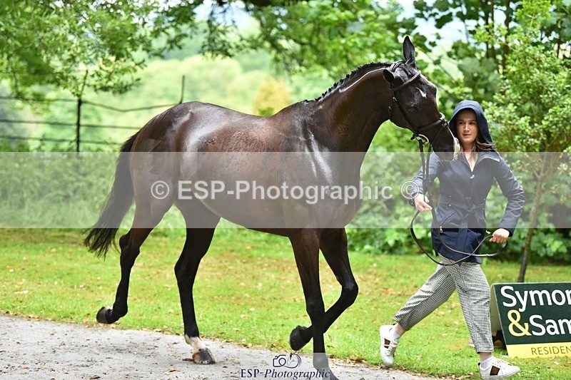 240522-154034-00519 - 353-BIKINI-Rose_De_Montmorency