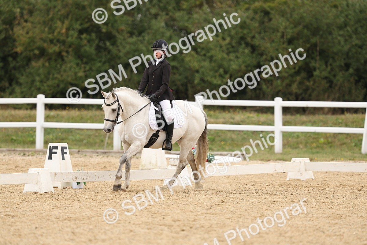 SBM_01087 - Class 8 - Novice 27 Champs