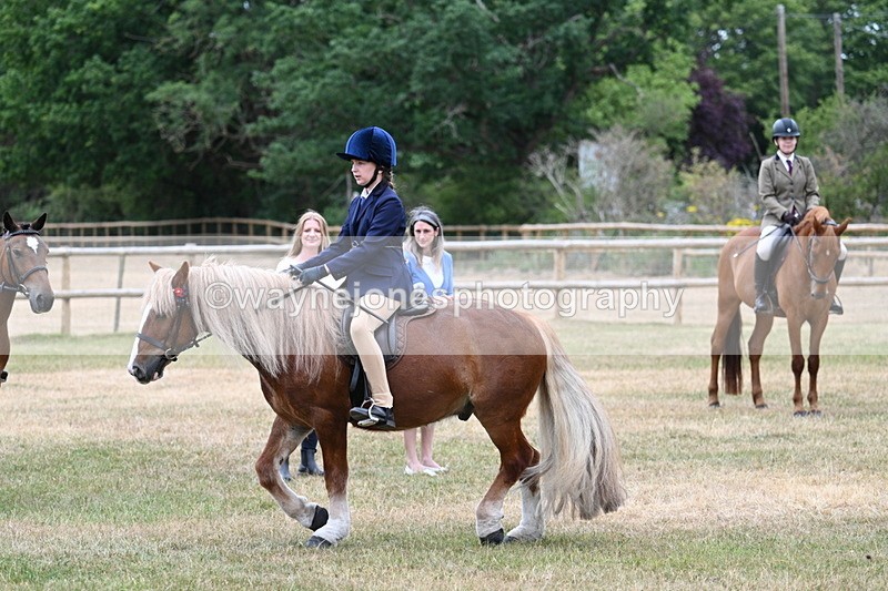 WJ7_0442 - Class 2 Best rider