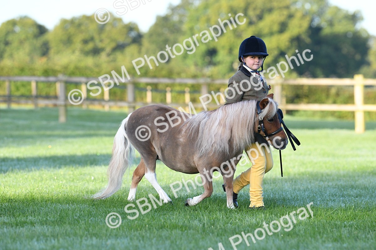 SBM_32459 - S15 - Condition & Turnout In Hand