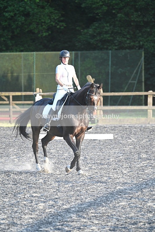 WJ7_0529 - Time 19:38 to 20:00