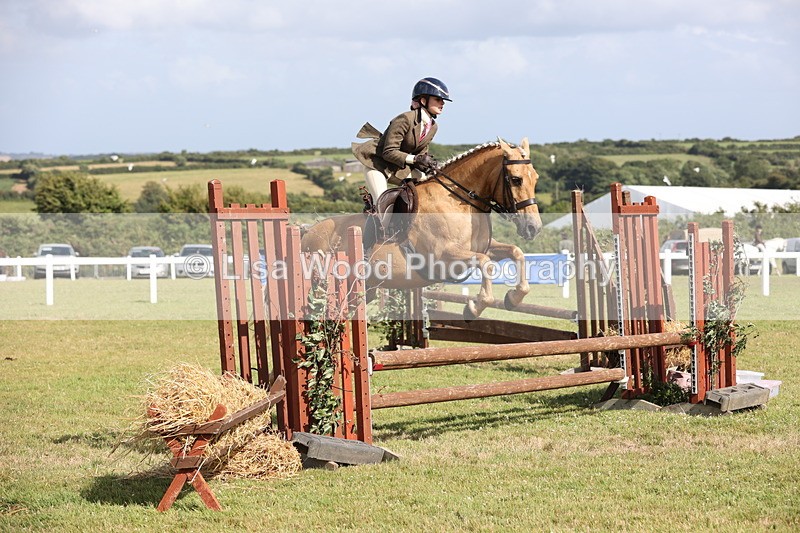 JPP_2707 - Class 20: Working Hunter 70cm